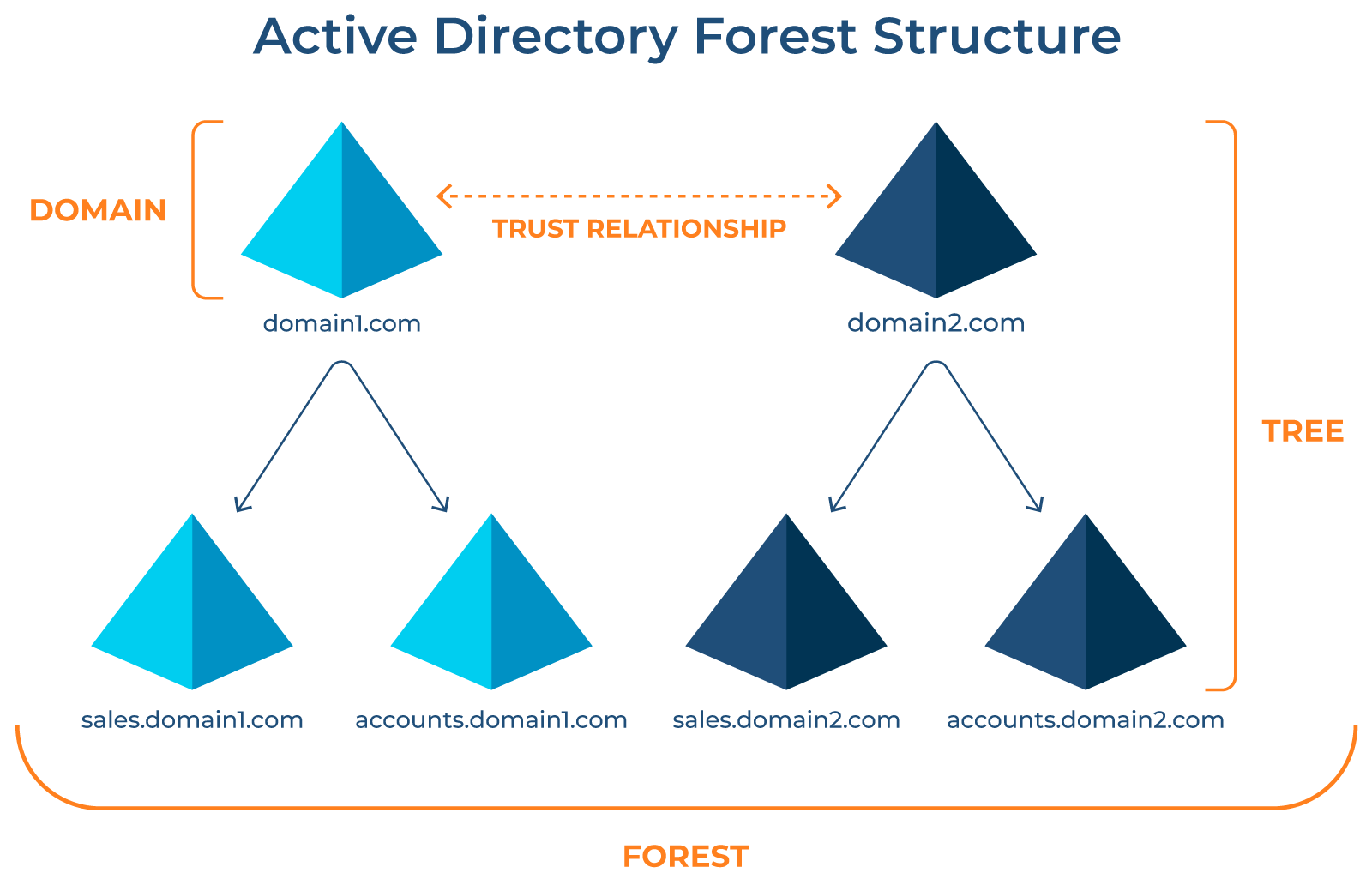 The Living Forest of Active Directory: Trees, Domain Controllers, and the Art of Domain Connection